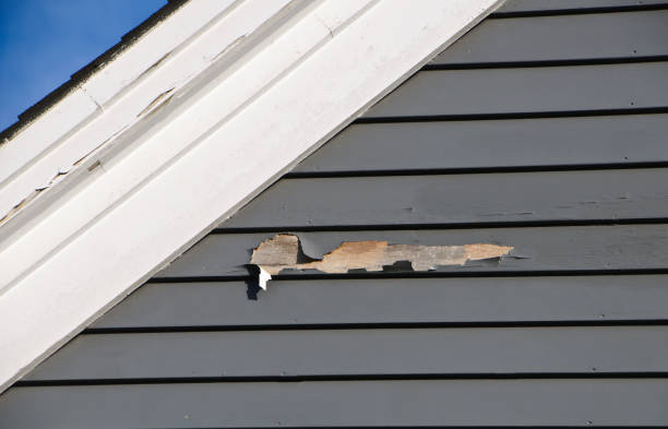 Best Storm Damage Siding Repair  in Upland, CA